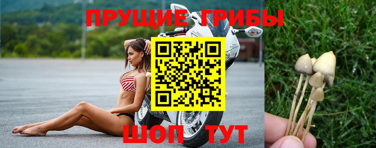 Псилоцибиновые грибы ЛСД  Вход с VPN  Псилоцибиновые грибы прущие грибы  Альметьевск 