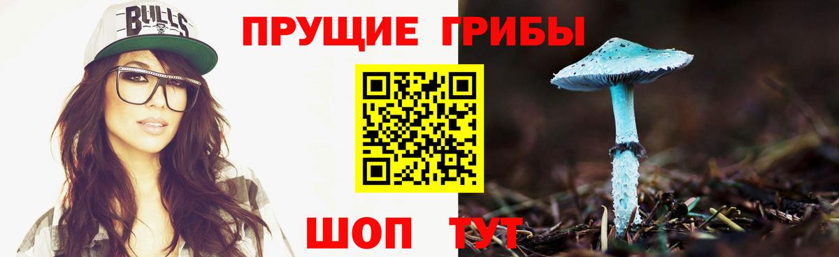 Псилоцибиновые грибы Psilocybe Альметьевск